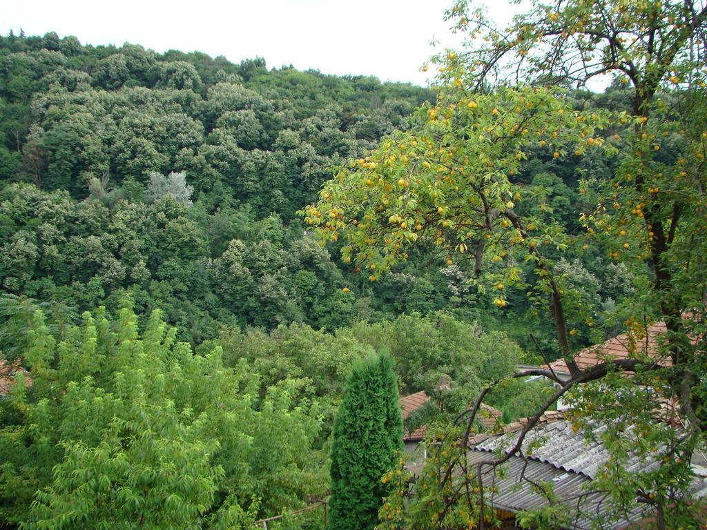 Guest House Selin Veliko Tárnovo Exterior foto